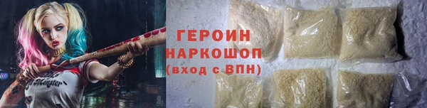 хмурый Аркадак