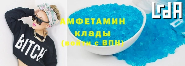 хмурый Аркадак