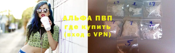 хмурый Аркадак