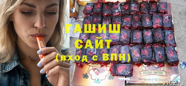 хмурый Аркадак