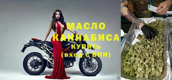 хмурый Аркадак