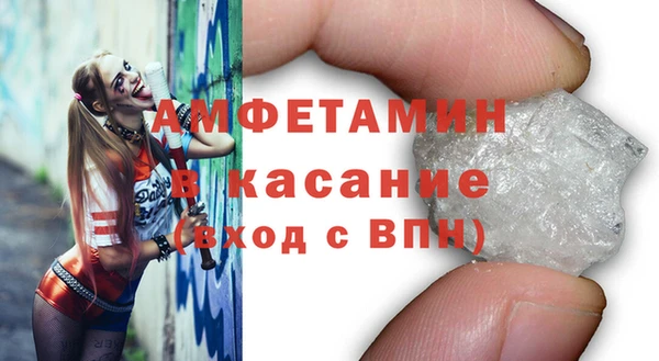хмурый Аркадак