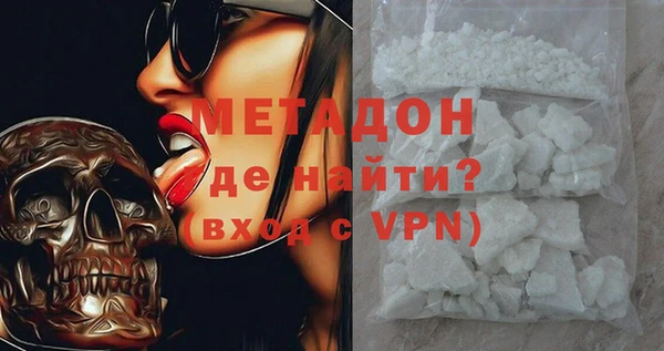 хмурый Аркадак