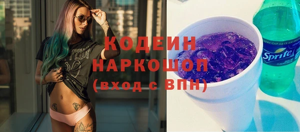 хмурый Аркадак