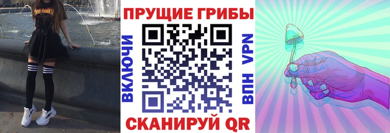 Галлюциногенные грибы Magic Shrooms  как найти закладки  Старая Русса 